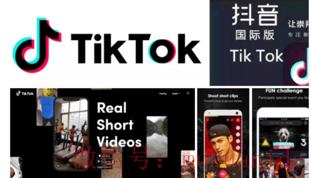 tiktok账号购买平台
