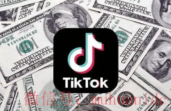 tiktok账号购买平台