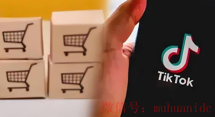 tiktok账号购买平台