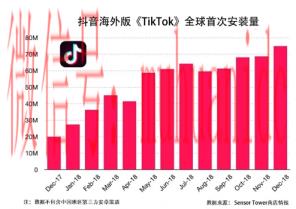 tiktok账号购买平台