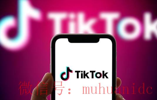 tiktok账号购买平台