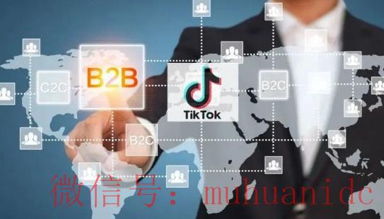 tiktok账号购买平台