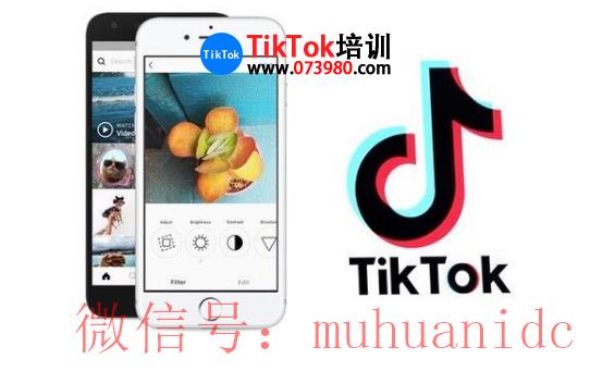 tiktok账号购买平台