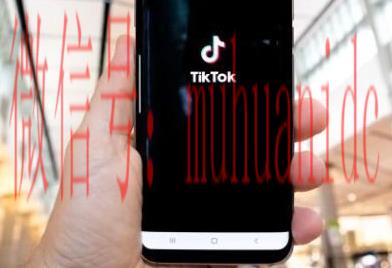 tiktok账号购买平台