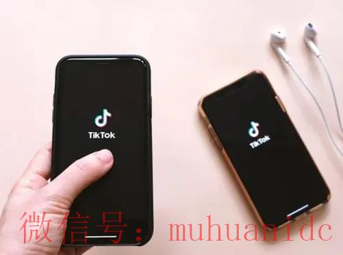 tiktok账号购买平台