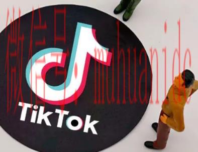 tiktok账号购买平台