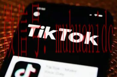 tiktok账号购买平台