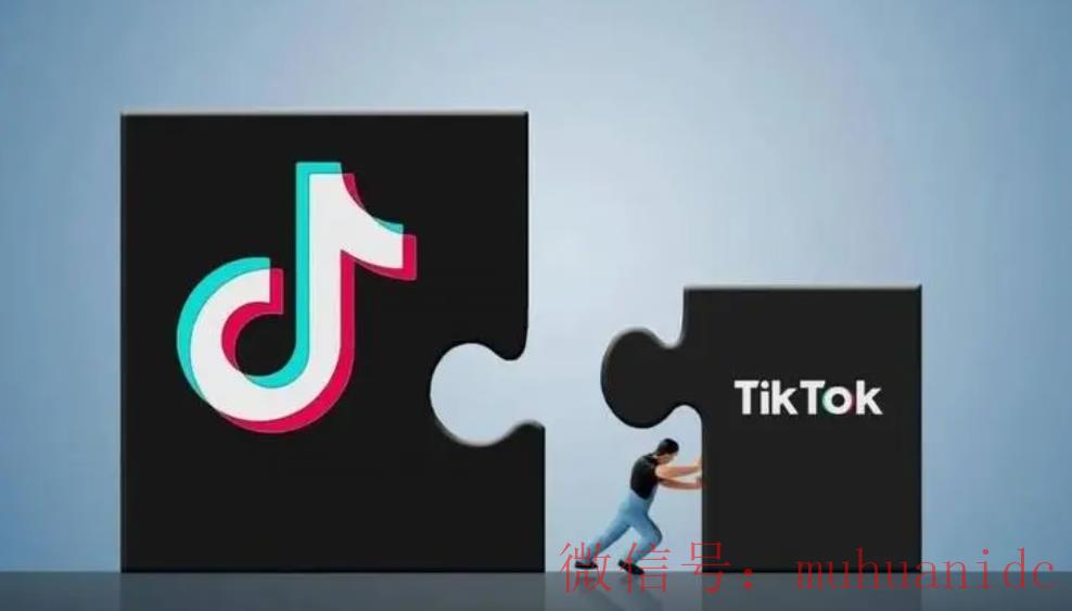 tiktok账号购买平台