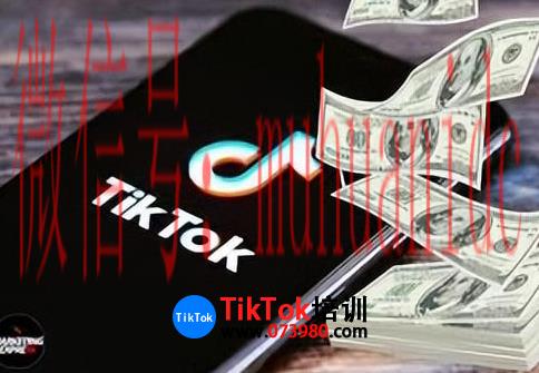 tiktok账号购买平台