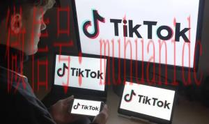 tiktok账号购买平台