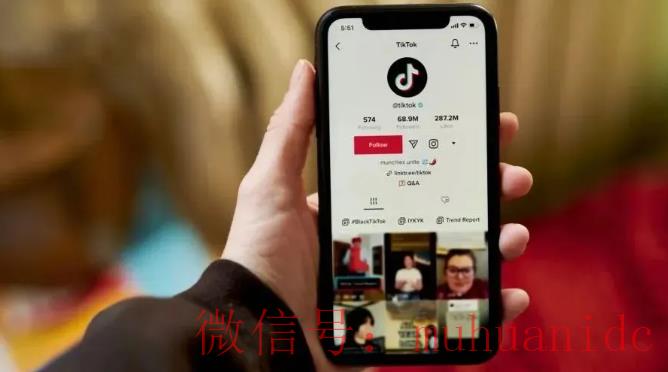 tiktok账号购买平台