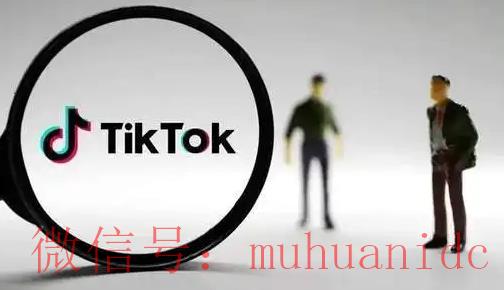 tiktok账号购买平台