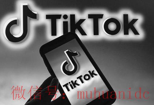 TikTok账号购买平台