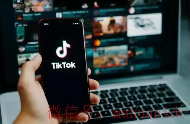 tiktok账号购买平台
