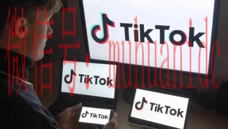 tiktok账号购买平台