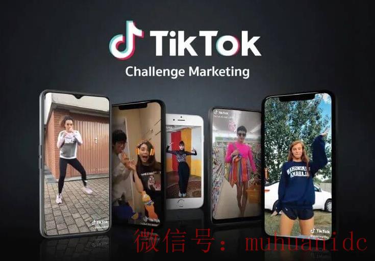 tiktok账号购买平台