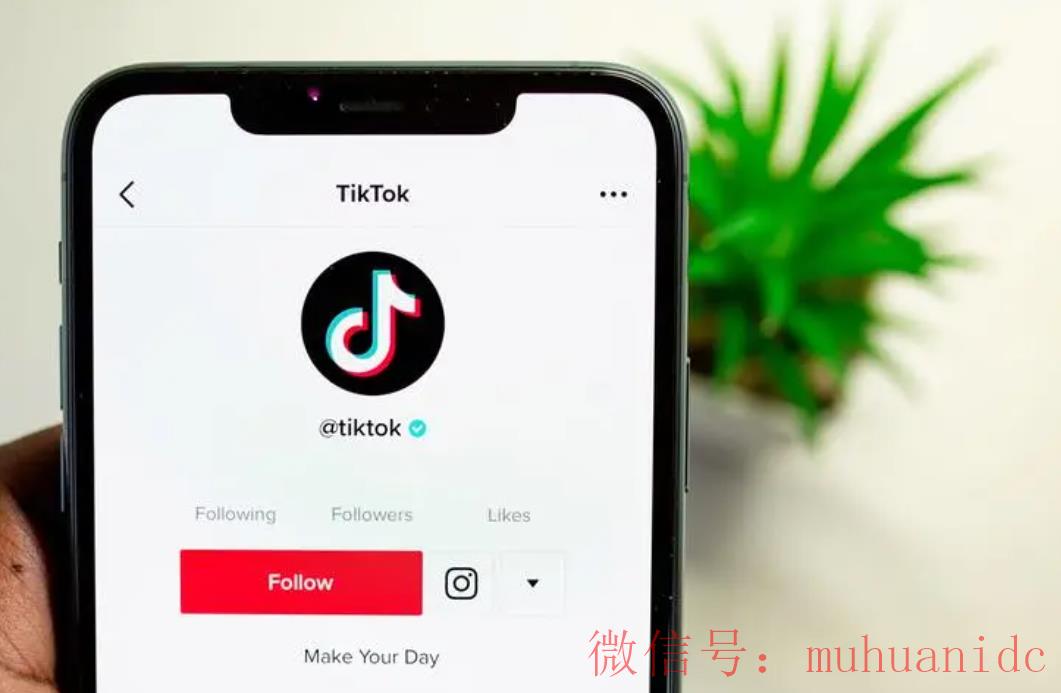 tiktok账号购买平台