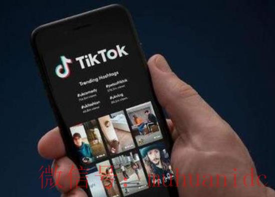tiktok账号购买平台