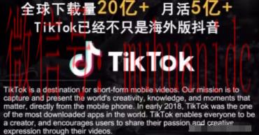 tiktok账号购买平台