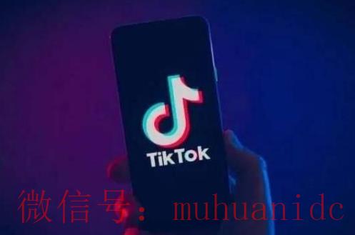 tiktok账号购买平台