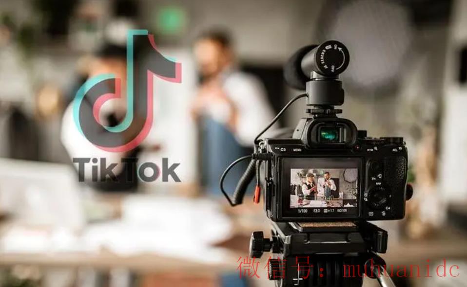 tiktok账号购买平台