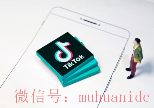 tiktok账号购买平台