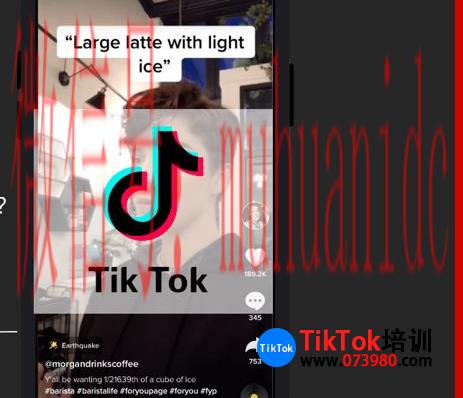 tiktok账号购买平台