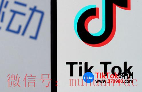 TikTok账号购买平台