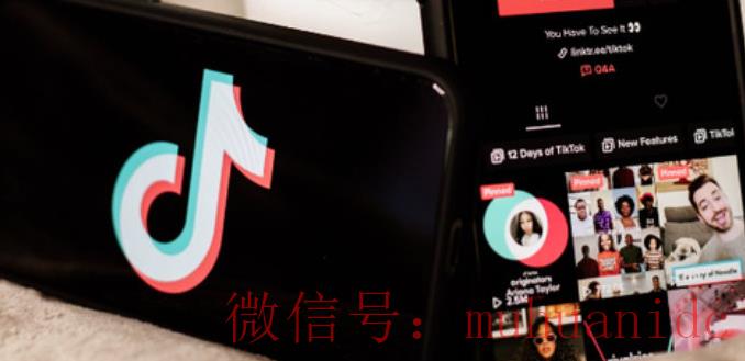 tiktok账号购买平台