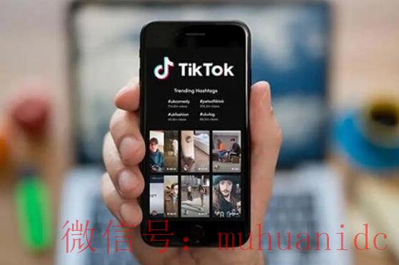 tiktok账号购买平台