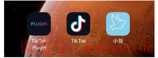 tiktok账号购买平台