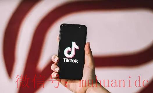 tiktok账号购买平台