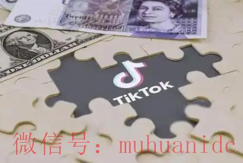 tiktok账号购买平台