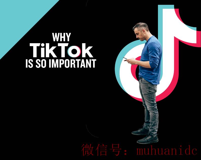 tiktok账号购买平台