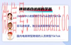 tiktok账号购买平台