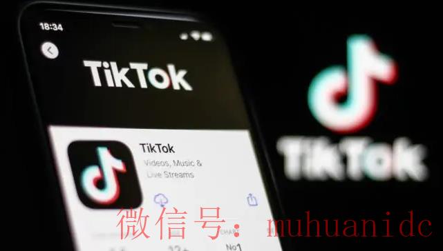 tiktok账号购买平台