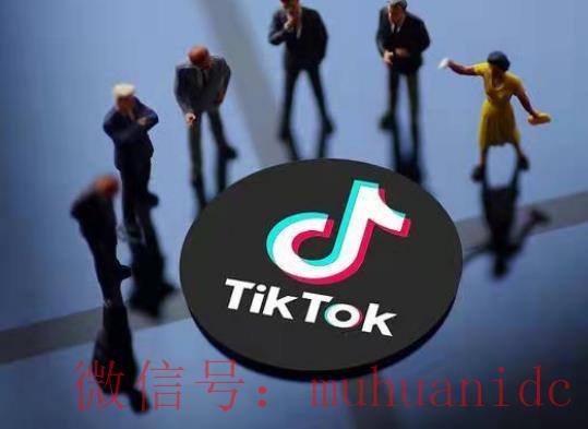 tiktok账号购买平台