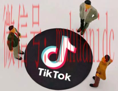 tiktok账号购买平台