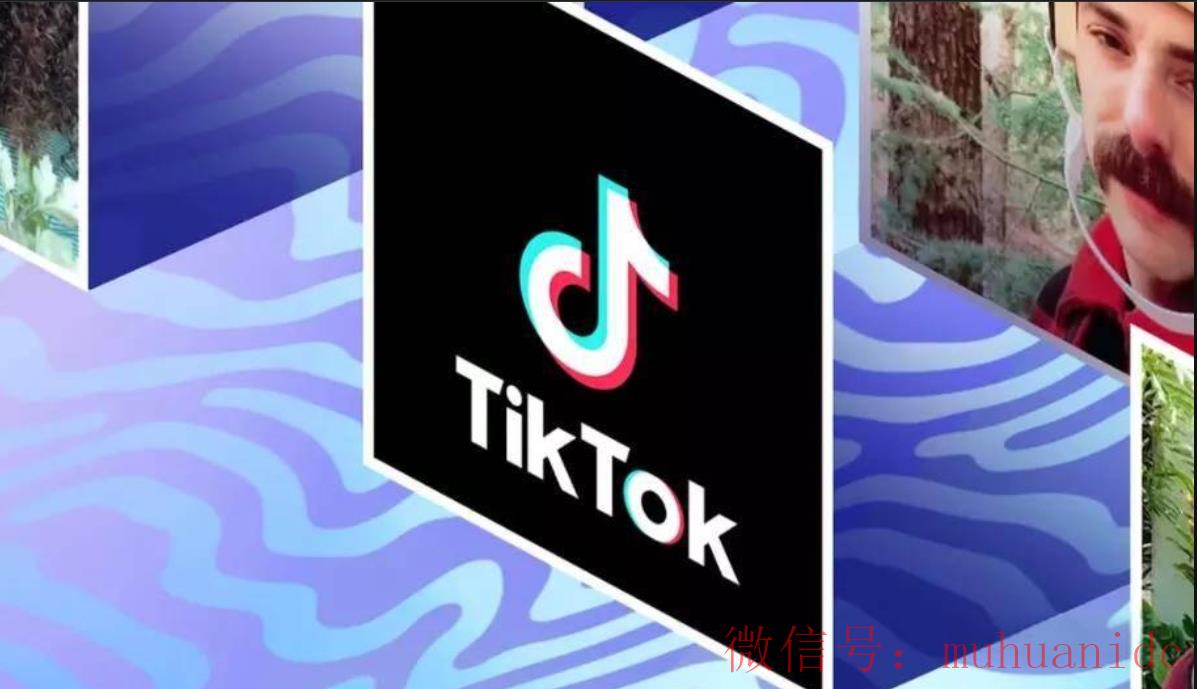 tiktok账号购买平台