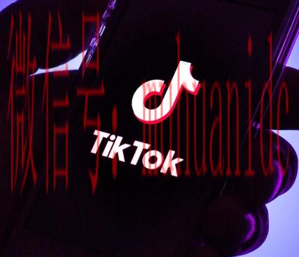 tiktok账号购买平台