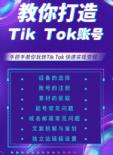 tiktok账号购买平台
