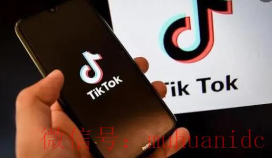 tiktok账号购买平台