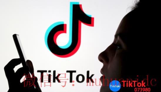 tiktok账号购买平台