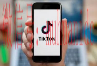 tiktok账号购买平台