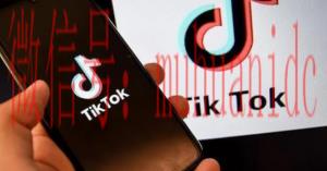 tiktok账号购买平台