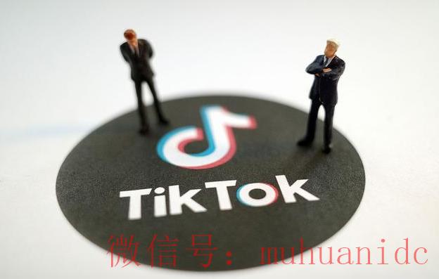 tiktok账号购买平台