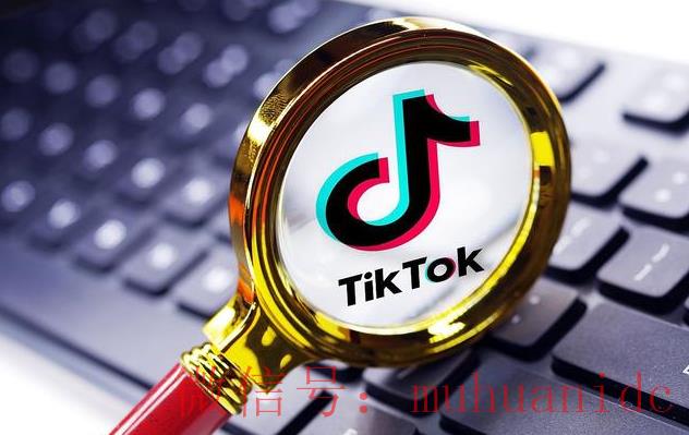 tiktok账号购买平台