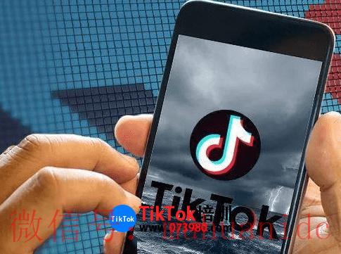tiktok账号购买平台