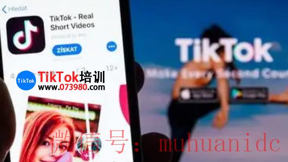 tiktok账号购买平台