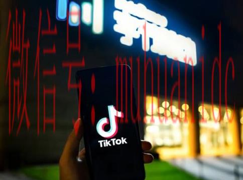 tiktok账号购买平台
